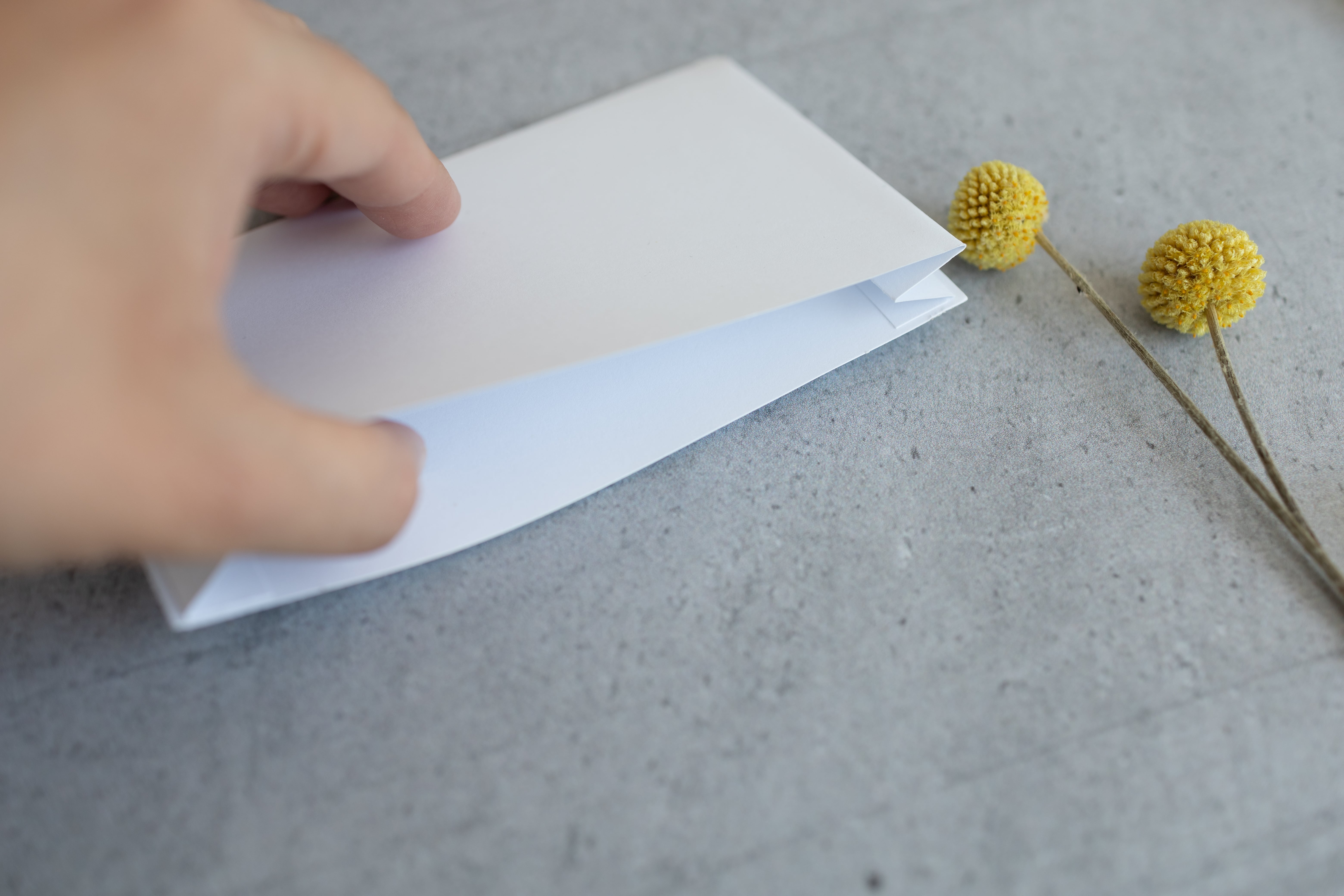 Froschtasche für A5 | A6