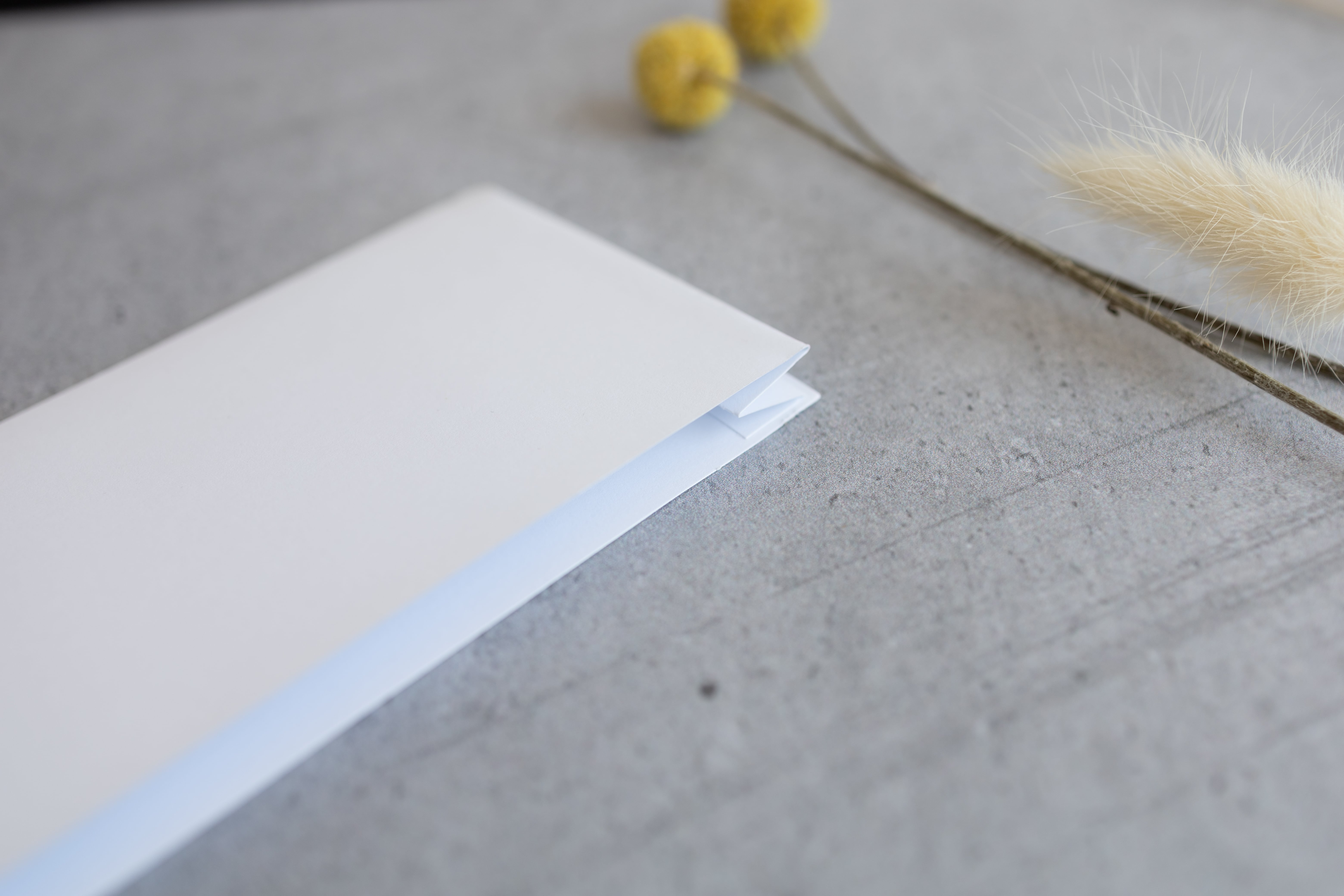 Froschtasche für A5 | A6