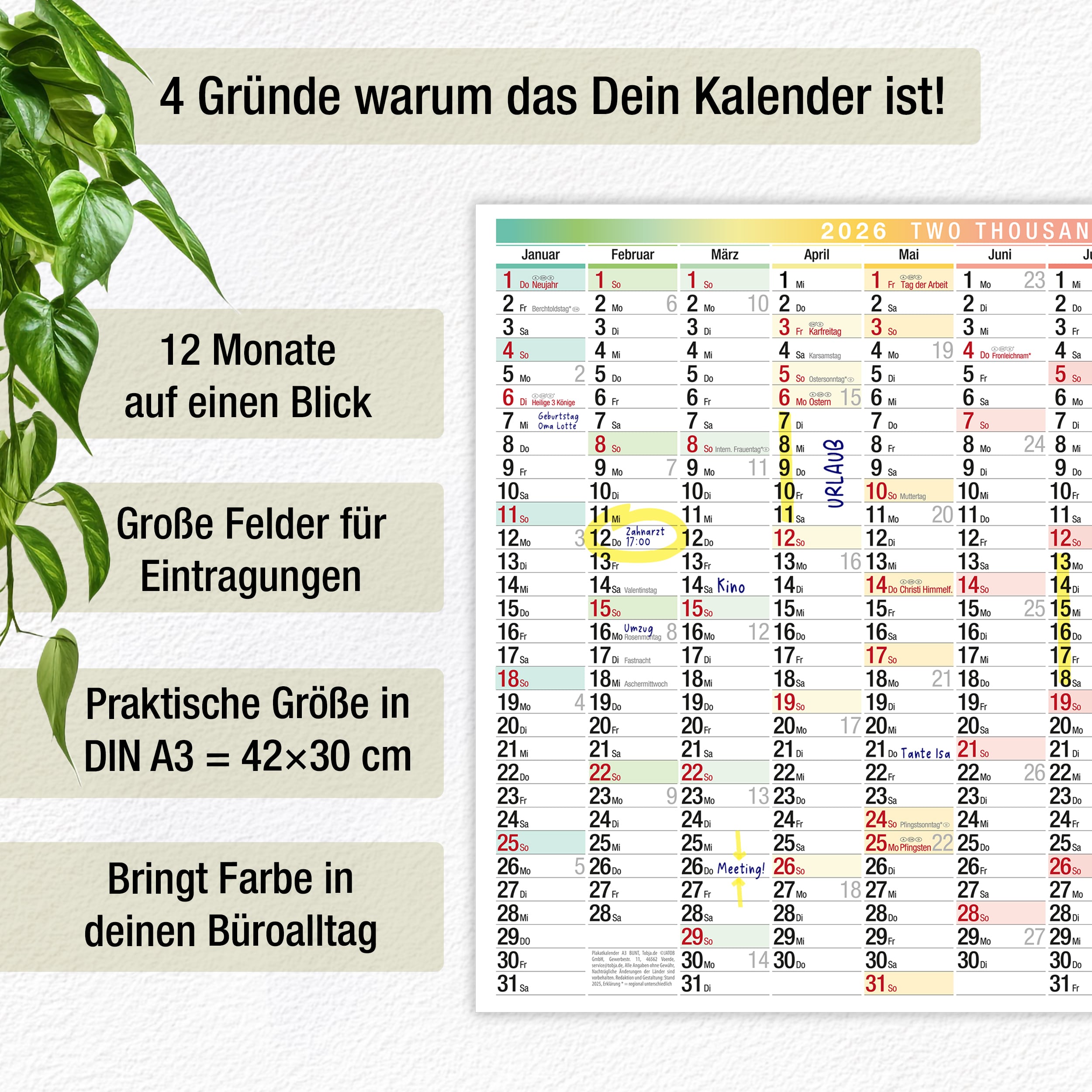 Wandkalender A3 2026 "bunt"