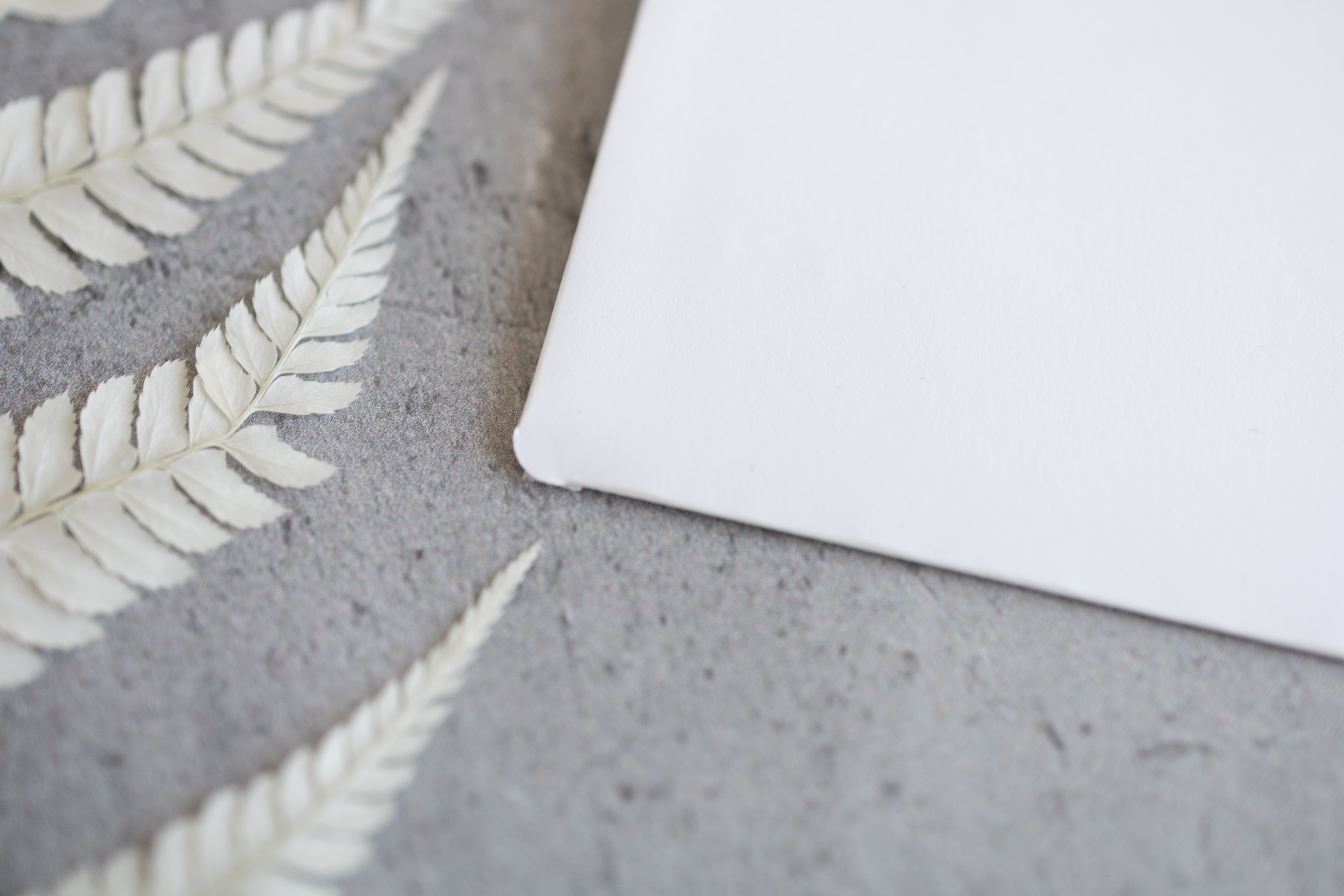 Froschtasche für A5 | A6